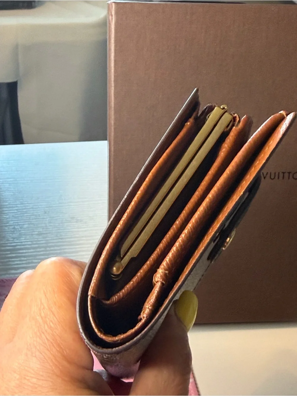 Louis Vuitton iconic lv